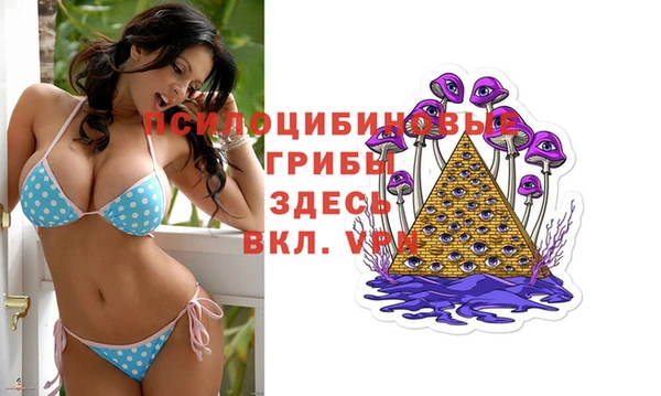 герыч Новокубанск