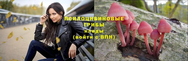 кокаин премиум Новодвинск