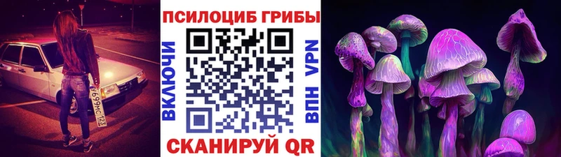 нарко площадка телеграм  Иноземцево  Псилоцибиновые грибы мицелий 