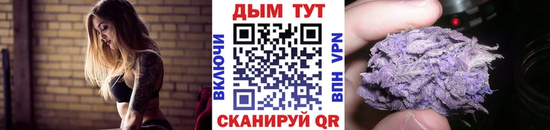 где купить Иноземцево Канабис конопля